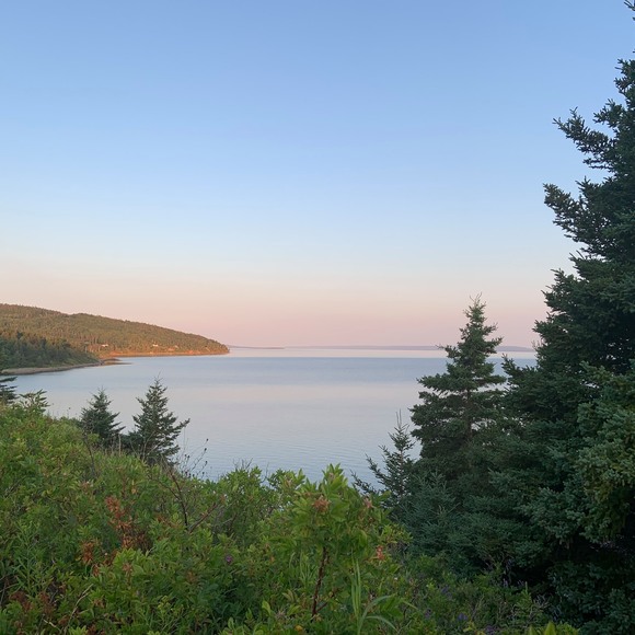 Meet your Posher, Ruth - Picture 1 of 1